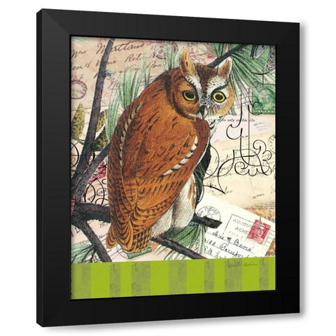 Curious Owl 2 Black Modern Wood Framed Art Print with Double Matting by Robertson, Walter