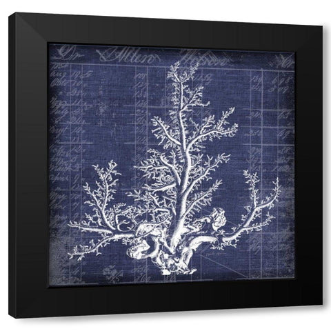 Seaweed Document 2 Black Modern Wood Framed Art Print with Double Matting by Robertson, Walter
