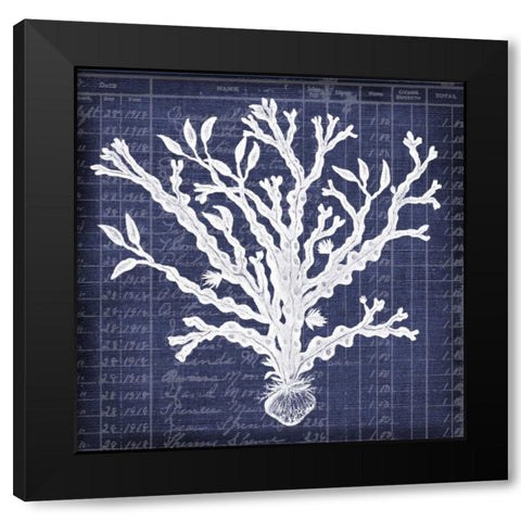 Seaweed Document 4 Black Modern Wood Framed Art Print by Robertson, Walter