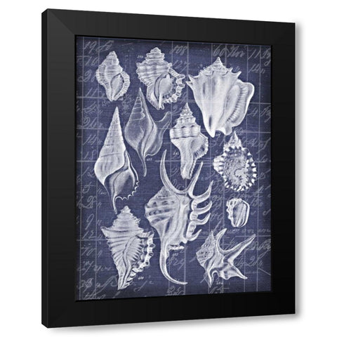 Shell Life 1 Black Modern Wood Framed Art Print by Robertson, Walter