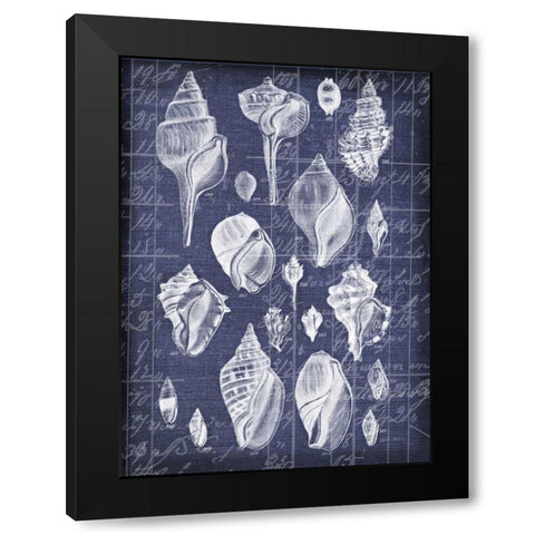 Shell Life 2 Black Modern Wood Framed Art Print by Robertson, Walter