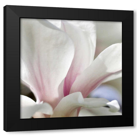 Magnolia Essence Black Modern Wood Framed Art Print with Double Matting by Amber Light Gallery