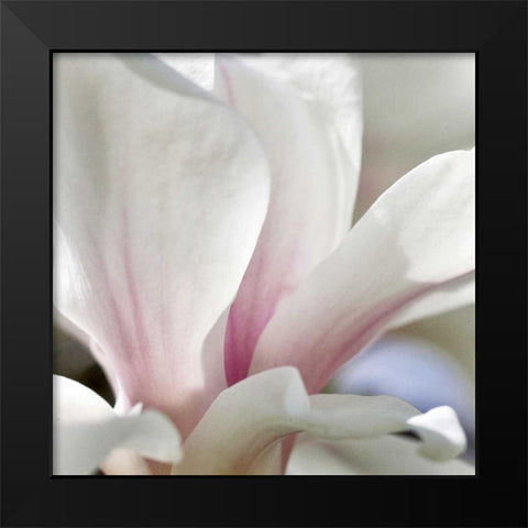 Magnolia Essence Black Modern Wood Framed Art Print by Amber Light Gallery