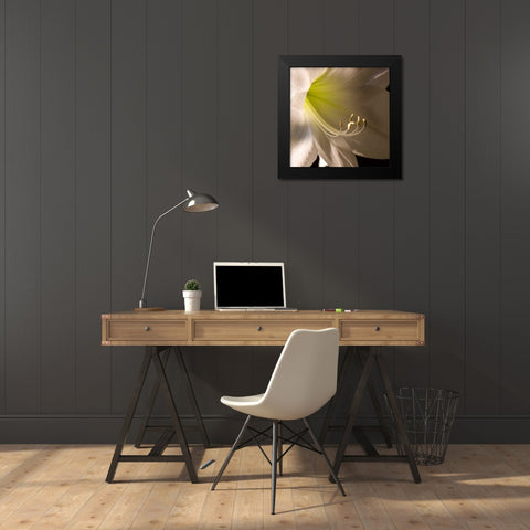 Ivory Amarylis Black Modern Wood Framed Art Print by Amber Light Gallery