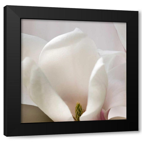 Magnolia Detail Black Modern Wood Framed Art Print by Amber Light Gallery