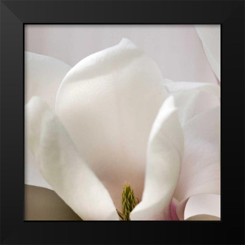 Magnolia Detail Black Modern Wood Framed Art Print by Amber Light Gallery