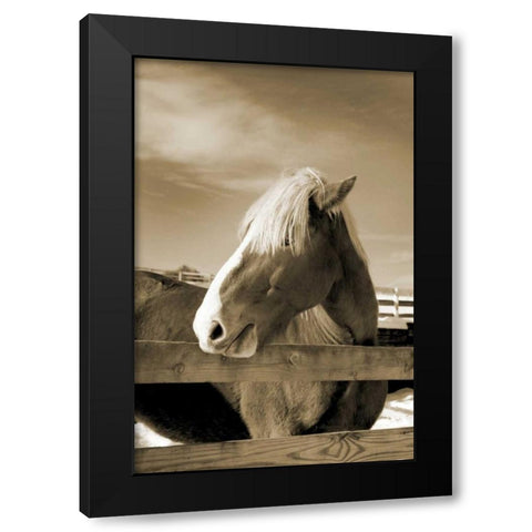 At the Farm Black Modern Wood Framed Art Print by Amber Light Gallery