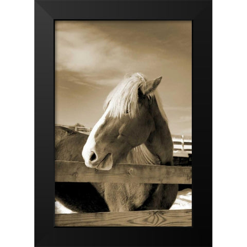 At the Farm Black Modern Wood Framed Art Print by Amber Light Gallery