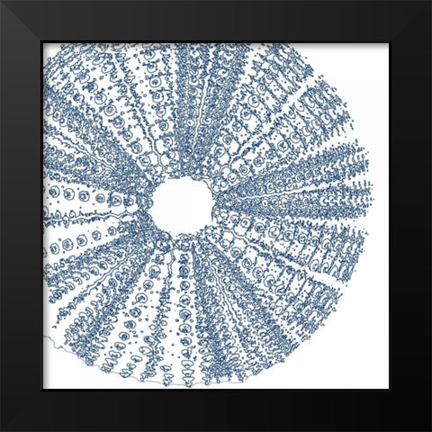 Sepia Shell Life 2 Black Modern Wood Framed Art Print by Amber Light Gallery