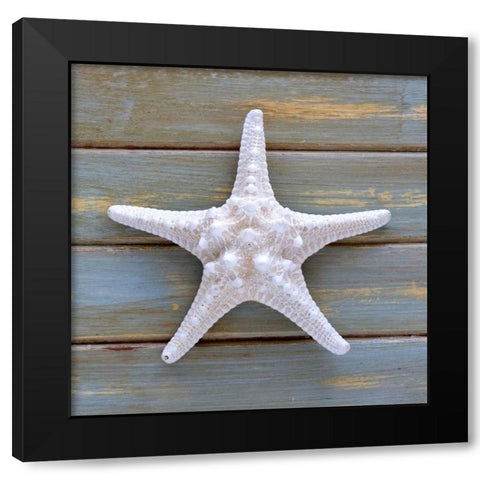 White Starfish  Black Modern Wood Framed Art Print by Amber Light Gallery