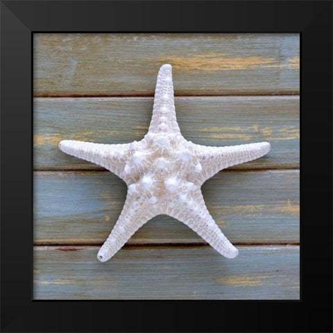 White Starfish  Black Modern Wood Framed Art Print by Amber Light Gallery