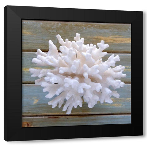 White Coral  Black Modern Wood Framed Art Print by Amber Light Gallery