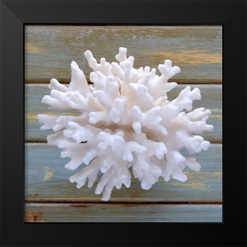 White Coral  Black Modern Wood Framed Art Print by Amber Light Gallery