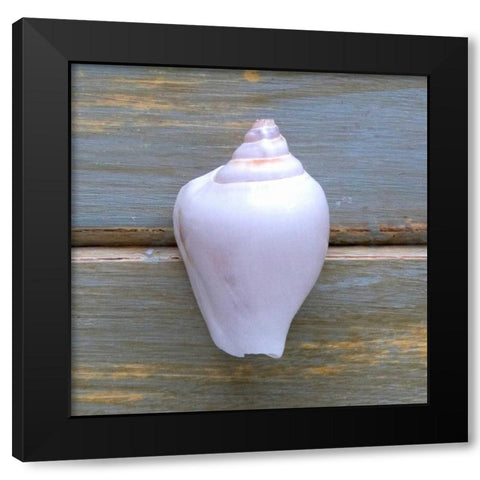 White Shell  Black Modern Wood Framed Art Print by Amber Light Gallery