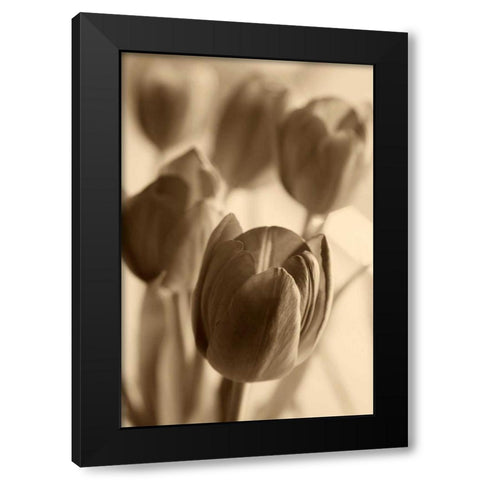 Illuminated Tulips 1 Black Modern Wood Framed Art Print by Amber Light Gallery