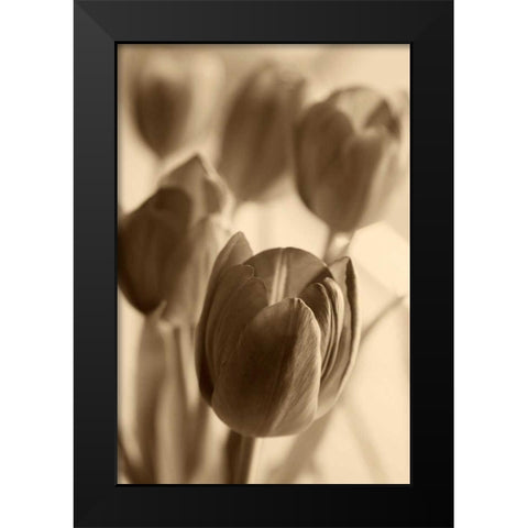 Illuminated Tulips 1 Black Modern Wood Framed Art Print by Amber Light Gallery