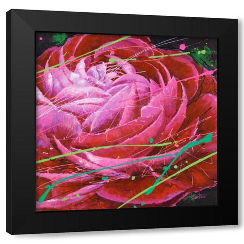 Ranunculus in Motion Black Modern Wood Framed Art Print by Langton, Bruce