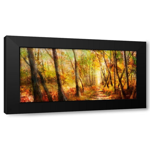 Forest Pathway Black Modern Wood Framed Art Print by Roko, Ken
