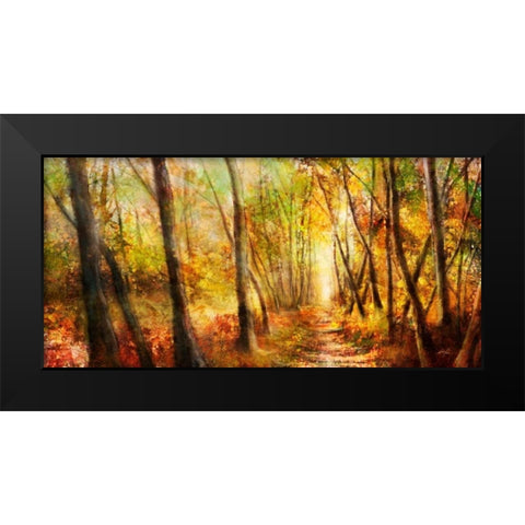 Forest Pathway Black Modern Wood Framed Art Print by Roko, Ken