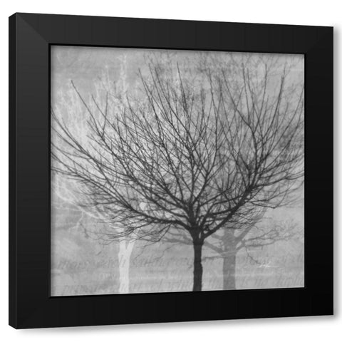 Winter Silhouette 1 Black Modern Wood Framed Art Print with Double Matting by Roko, Ken