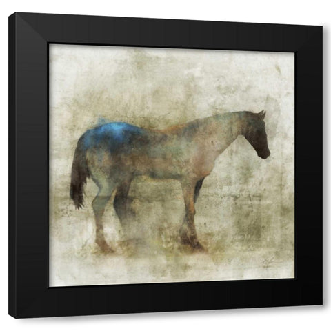 Lone Star 1 Black Modern Wood Framed Art Print with Double Matting by Roko, Ken