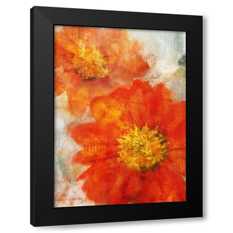 Tithonia Bloom 1 Black Modern Wood Framed Art Print with Double Matting by Roko, Ken
