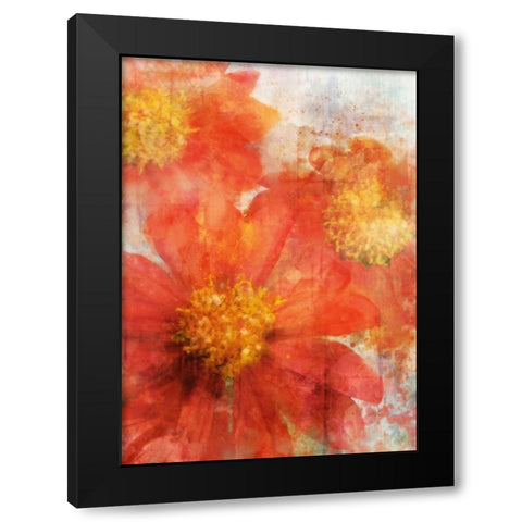 Tithonia Bloom 2 Black Modern Wood Framed Art Print by Roko, Ken