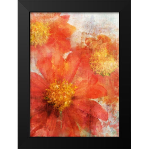 Tithonia Bloom 2 Black Modern Wood Framed Art Print by Roko, Ken