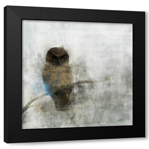 Guardian Owl Black Modern Wood Framed Art Print with Double Matting by Roko, Ken
