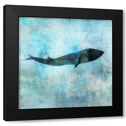 Ocean Whale 1 Black Modern Wood Framed Art Print with Double Matting by Roko, Ken