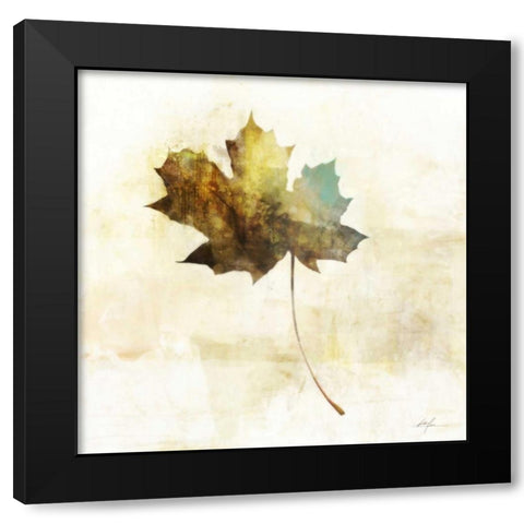 Falling Maple Leaf 2 Black Modern Wood Framed Art Print with Double Matting by Roko, Ken