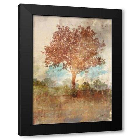 Sun Dappled Tree Black Modern Wood Framed Art Print by Roko, Ken