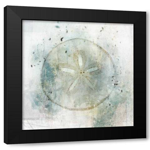 Coastal Mist Sand Dollar Black Modern Wood Framed Art Print with Double Matting by Roko, Ken