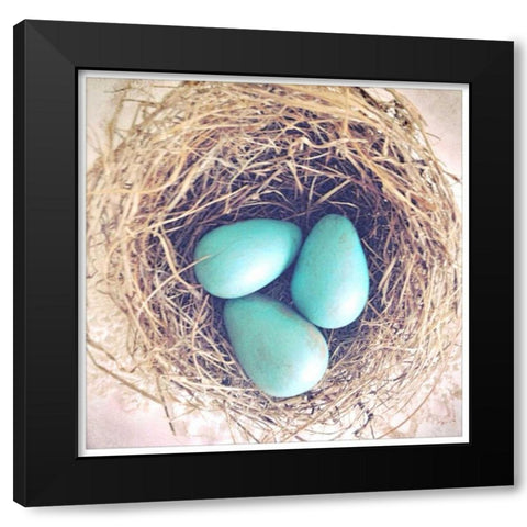 Beginnings Black Modern Wood Framed Art Print with Double Matting by Dvorak, Vicki