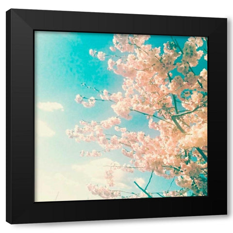 Polariod Pink 1 Black Modern Wood Framed Art Print with Double Matting by Dvorak, Vicki