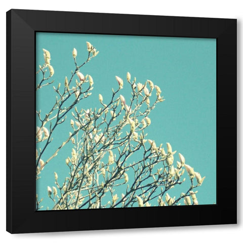 New Growth Black Modern Wood Framed Art Print by Dvorak, Vicki