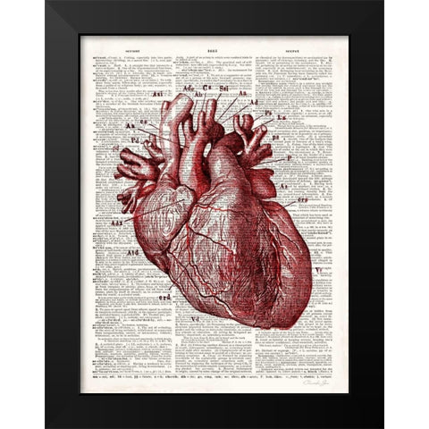 Vintage Anatomy Heart Black Modern Wood Framed Art Print by James, Christopher