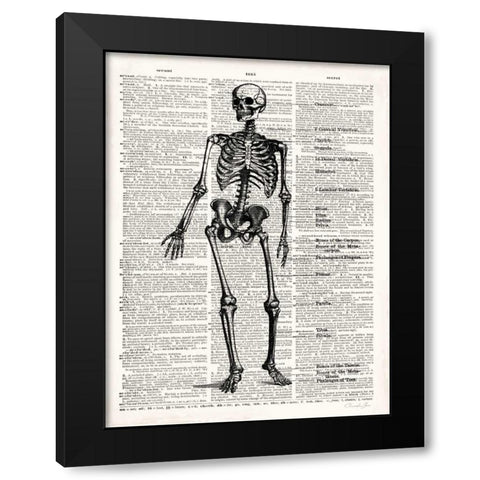 Vintage Anatomy Skeleton  Black Modern Wood Framed Art Print by James, Christopher