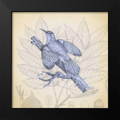 Hummingbird Study 2 Black Modern Wood Framed Art Print by James, Christopher