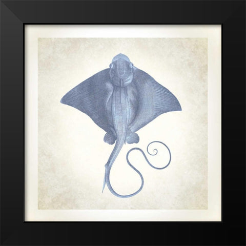 Sea Life, Stingray Black Modern Wood Framed Art Print by James, Christopher