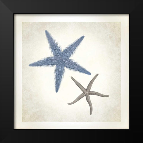 Sea Life, Starfish Black Modern Wood Framed Art Print by James, Christopher