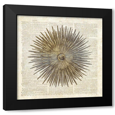 Sea Urchin Pages Black Modern Wood Framed Art Print by James, Christopher