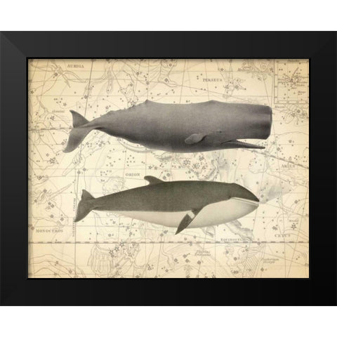 Whale Costellation 1 Black Modern Wood Framed Art Print by James, Christopher