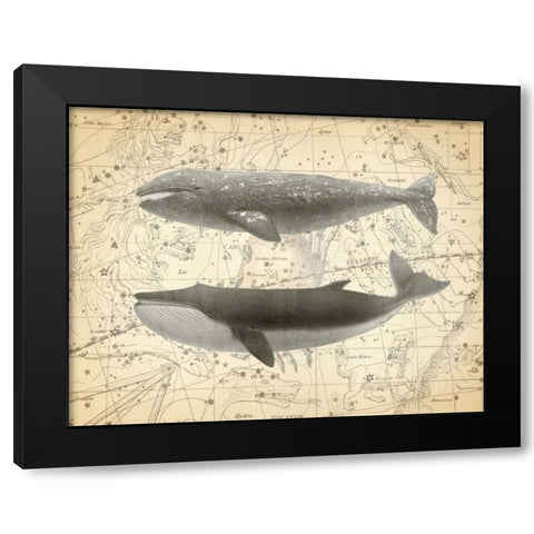 Whale Constellation 2 Black Modern Wood Framed Art Print with Double Matting by James, Christopher