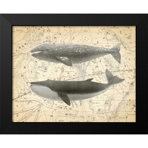Whale Constellation 2 Black Modern Wood Framed Art Print by James, Christopher