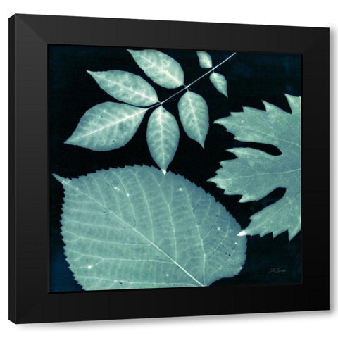Teal Sunprint Leaves Black Modern Wood Framed Art Print with Double Matting by Zamudio, Dan