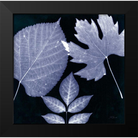 Denim Sunprint Leaves Black Modern Wood Framed Art Print by Zamudio, Dan