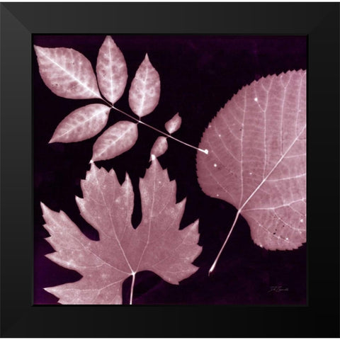 Cabernet Sunprint Leaves Black Modern Wood Framed Art Print by Zamudio, Dan