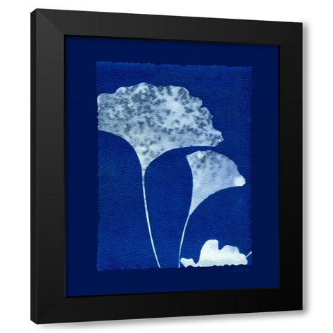 Cyanotype Ginko Black Modern Wood Framed Art Print with Double Matting by Zamudio, Dan