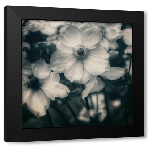 Blossoms At Dusk Black Modern Wood Framed Art Print by Hoey, Linda